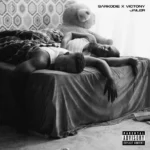 Sarkodie – JAILER ft. Victony