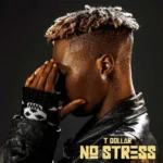 T Dollar – Ginger