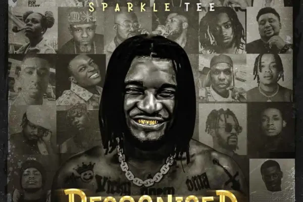 Sparkle Tee – Recognized Download