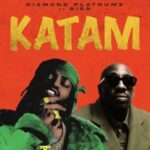 Diamond Platnumz ft Bien – Katam